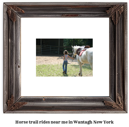 horse trail rides near me in Wantagh, New York